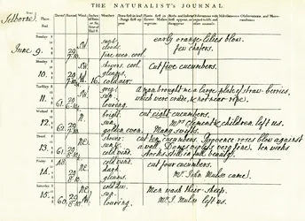 Ostatnia uzupełniona strona Dziennika przyrodnika Gilberta Whitesa, 9-15 czerwca 1793 r.